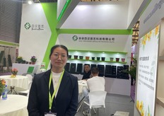 Focus on flower pot design and export by Anhui Seedling Home Horticulture Technology Co., Ltd.